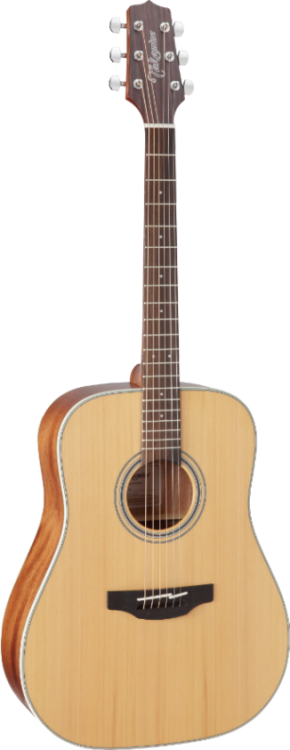 takamine_gd20-ns_pion.png