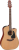 takamine_p1dc_pion.png