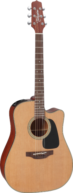 takamine_p1dc_pion.png