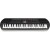 CASIO-SA-81-keyboard-dla-dzieci-front.jpg