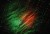 1888image6831